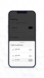 Parking Posnania screenshot 6