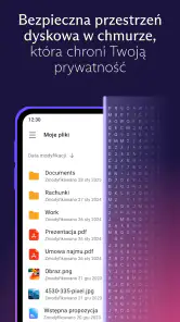 Proton Drive: Chmura Danych screenshot