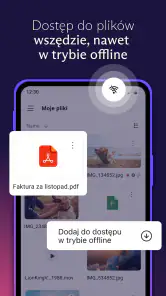 Proton Drive: Chmura Danych screenshot