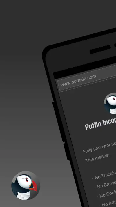 Przeglądarka Puffin Incognito screenshot 1