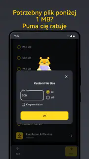 Puma: Zmniejsz Rozmiar Zdjęcia screenshot 5