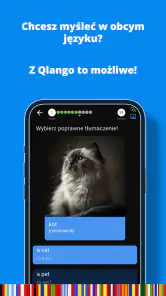 Qlango: Naucz się 70+ języków screenshot