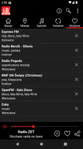 Radio Online Polska screenshot