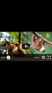 See More screenshot 3