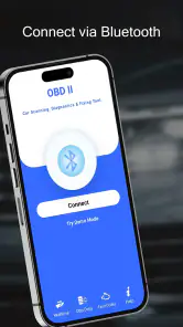 Skaner Samochodowy OBD2 screenshot