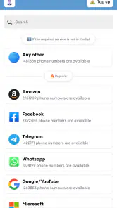 SMS Virtual - Receive SMS screenshot