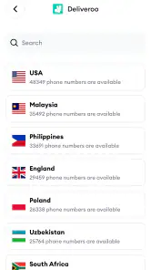 SMS Virtual - Receive SMS screenshot