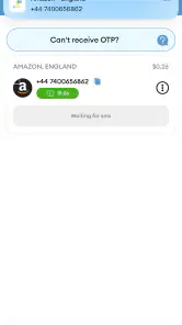 SMS Virtual - Receive SMS screenshot