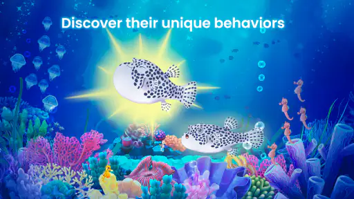 Splash — Fish Aquarium screenshot