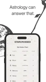 Starcrossed screenshot 2