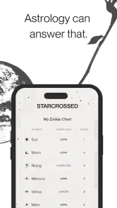Starcrossed screenshot