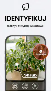 TapScanner - Skaner do PDF screenshot 4