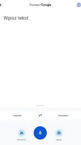 Tłumacz Google screenshot