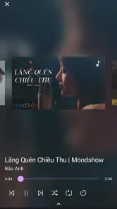 TMusic screenshot