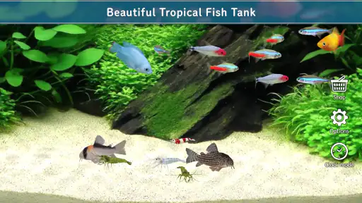 Tropical Aquarium - Mini Aqua screenshot