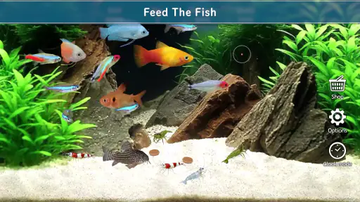 Tropical Aquarium - Mini Aqua screenshot