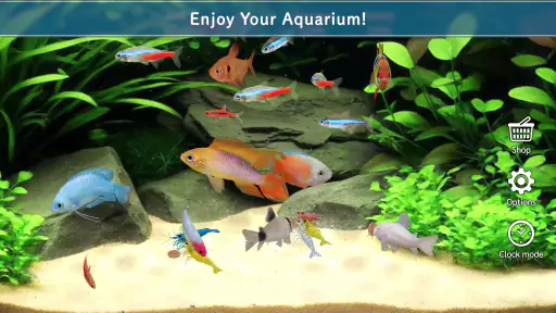Tropical Aquarium - Mini Aqua screenshot