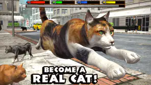 Ultimate Cat Simulator screenshot 1