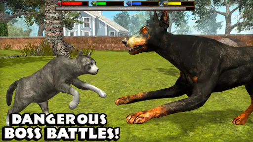 Ultimate Cat Simulator screenshot 5