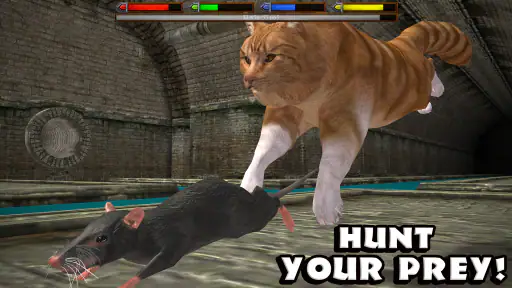 Ultimate Cat Simulator screenshot 7