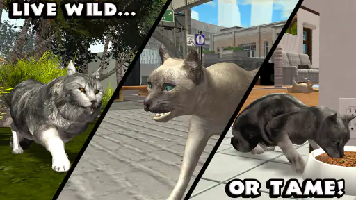 Ultimate Cat Simulator screenshot 8