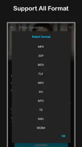 Video Converter screenshot