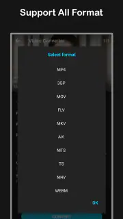 Video Converter screenshot 3