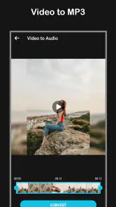 Video Converter screenshot