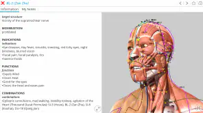 Visual Acupuncture 3D screenshot 1
