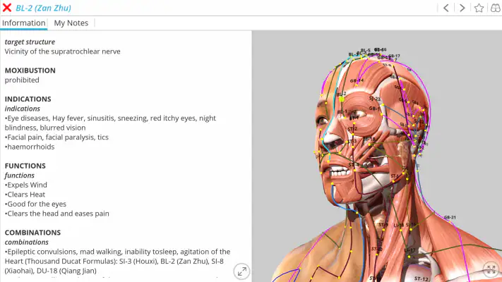 Visual Acupuncture 3D screenshot 1