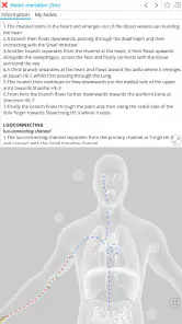 Visual Acupuncture 3D screenshot