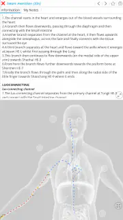 Visual Acupuncture 3D screenshot 2