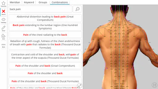 Visual Acupuncture 3D screenshot