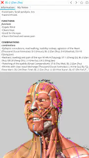 Visual Acupuncture 3D screenshot 7