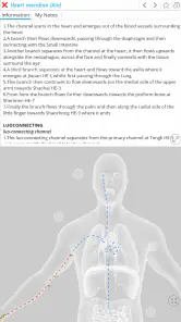 Visual Acupuncture 3D screenshot