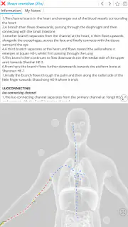 Visual Acupuncture 3D screenshot 8