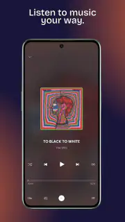 Winamp screenshot 3