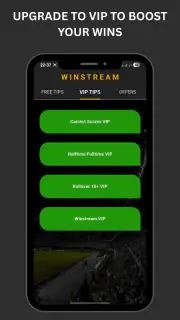 Winstream screenshot 2