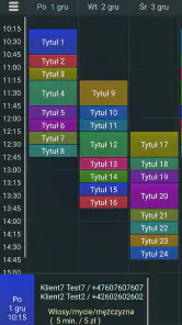 Wizyty Klientów 4 Lt. screenshot