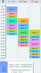 Wizyty Klientów 4 Lt. screenshot