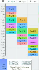 Wizyty Klientów 4 Lt. screenshot