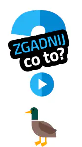 Zgadnij co to? gry łamigłówki screenshot